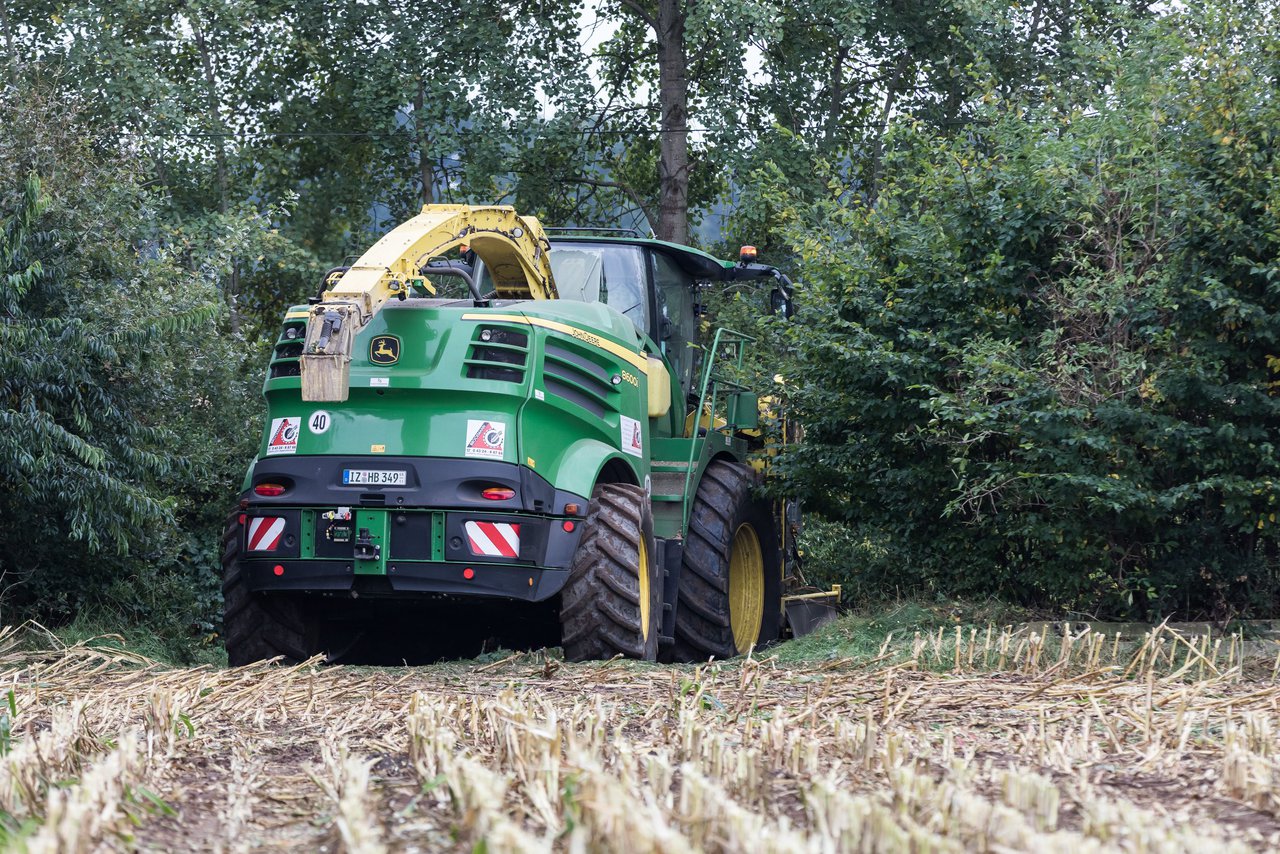 Bild 237 - Maisernte